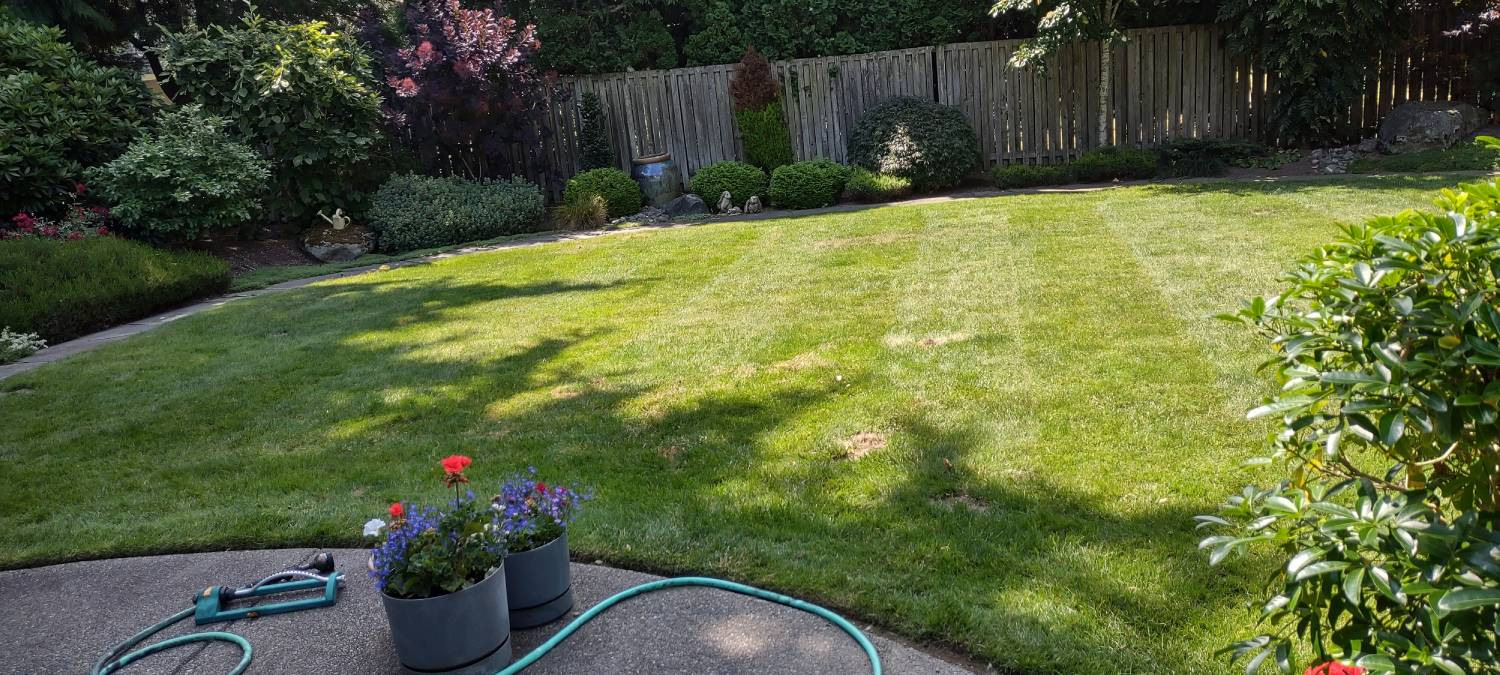 Beautiful backyard with lush green lawn featuring professional mowing stripes, mature landscaping, and colorful flower pots.