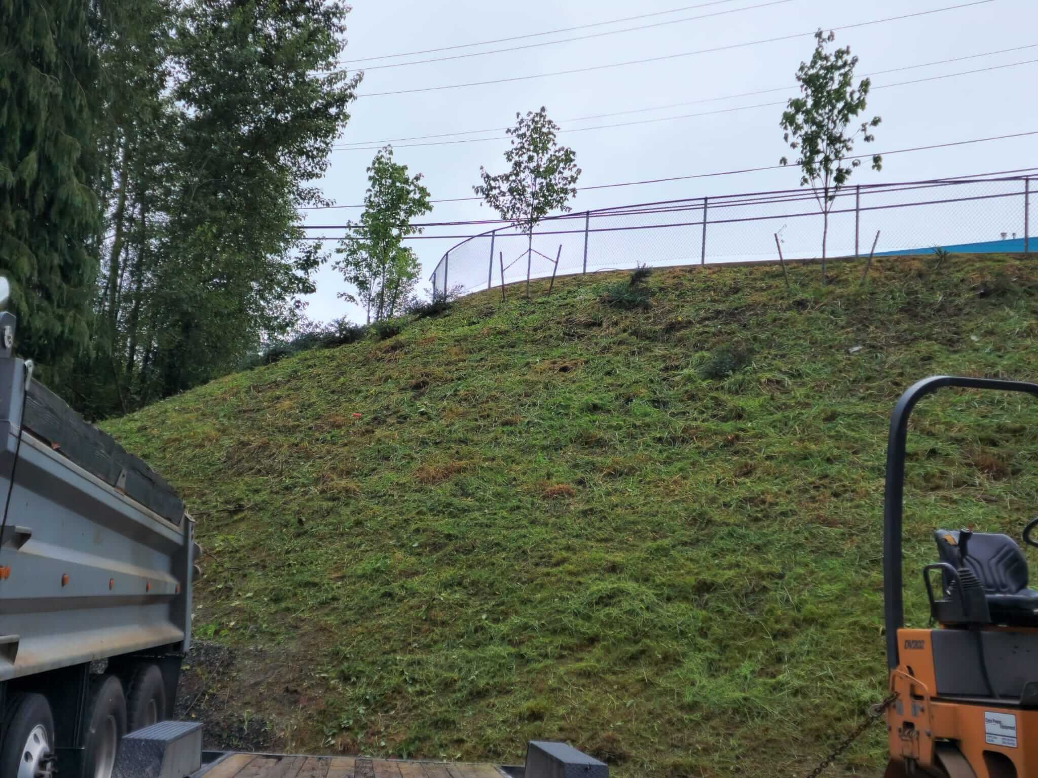 Steep hillside slope stabilization project with newly planted trees, showing professional erosion control and landscaping work.