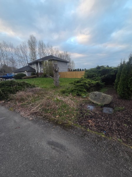 Front yard before cleanup with overgrown shrubs and a driveway edge, showing the site before landscape maintenance.