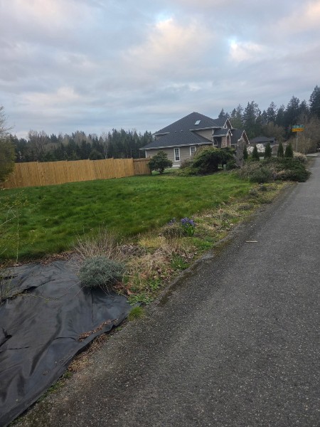 Property frontage showing grass, shrubs, and garden beds before renovation, with neighboring homes in the background.