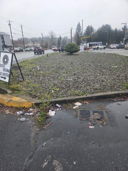 Commercial roadside planting area with gravel groundcover and urban intersection views, highlighting site cleanup work.