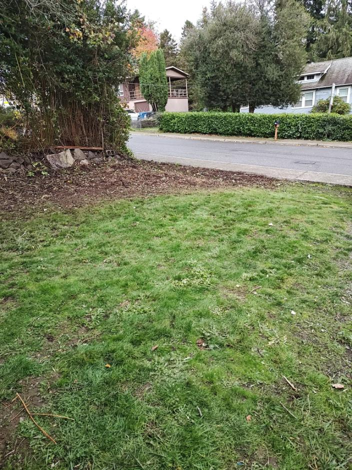 Before landscaping transformation